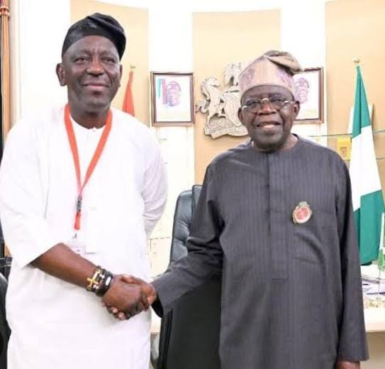 Cover image for Tinubu's aide, Adeboye, to chair  Newstap/ SWAN 5-Star Award