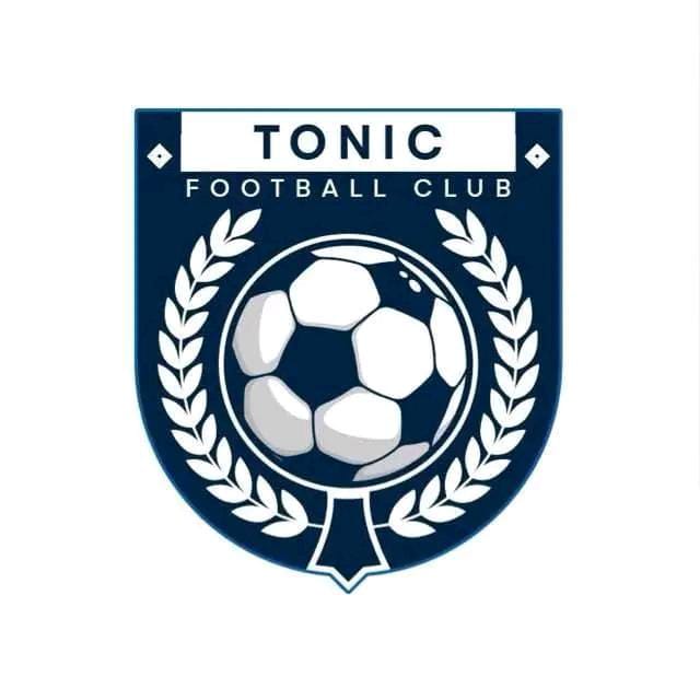 Cover image for Tonic FC consolidate gains In transfer market