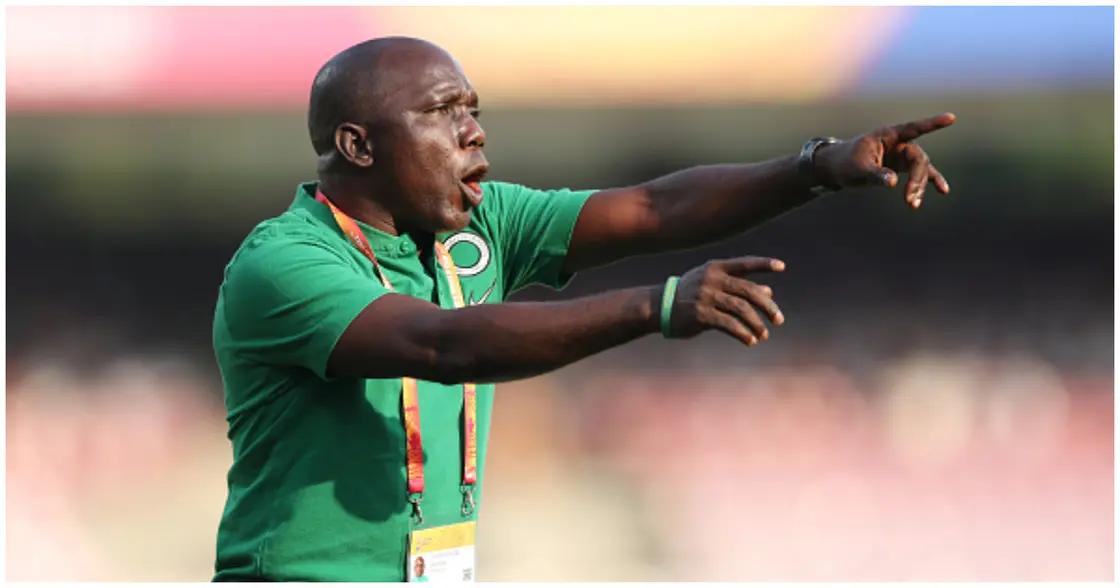 Cover image for Olowookere sure of final hurdle ticket as Flamingos return