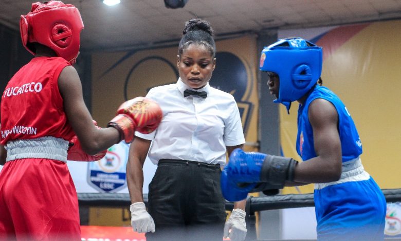 Cover image for NBF unveils programme of activities for Boxing Week, Commonwealth Games trials