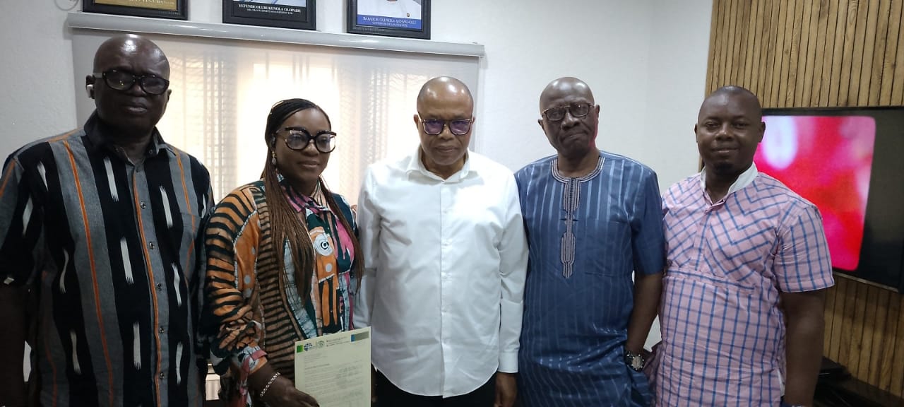 Cover image for Newstap/ SWAN 5-Star Awards nomination a rare privilege -Yetunde Olopade 