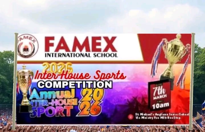 Cover image for Famex School Inter House Sports hots up